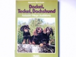 DACKEL TECKEL DACHSHUND