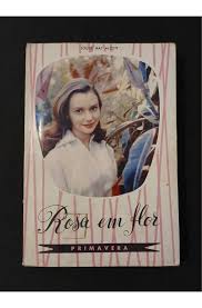 ROSA EM FLOR
